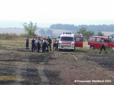 Feuer030803-5