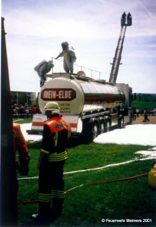 fest7-008