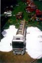 fest7-010