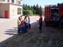 DSCI0810