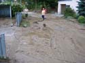 DSCI0987